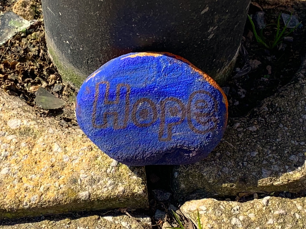 HoS2